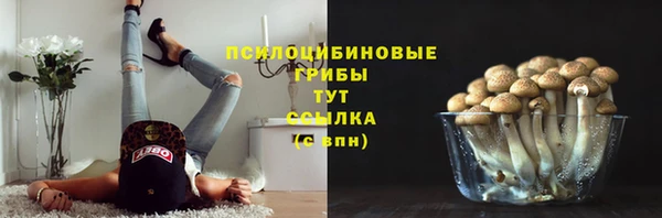 таблы Вяземский
