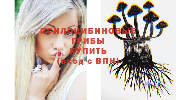 не бодяженный Володарск