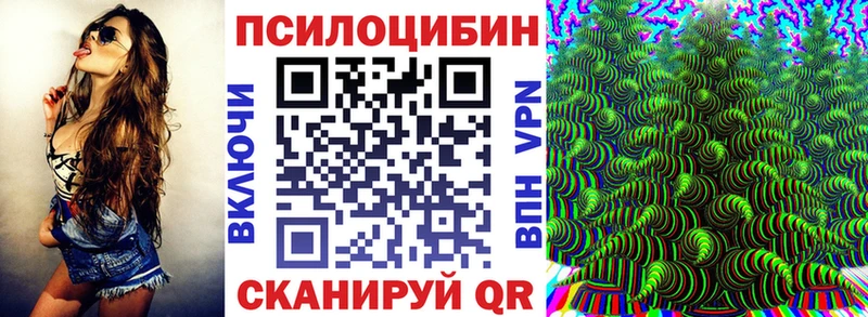Галлюциногенные грибы Psilocybine cubensis  Лобня 